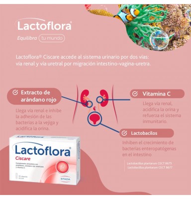 LACTOFLORA CISCARE PROTECTOR CON ARÁNDANOS MOLESTIAS URINARIAS 30 CÁPSULAS