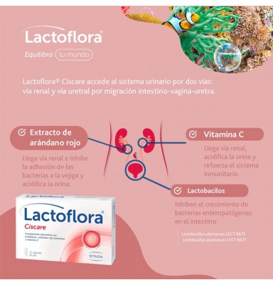 LACTOFLORA CISCARE PROTECTOR CON ARÁNDANOS MOLESTIAS URINARIAS 15 CÁPSULAS