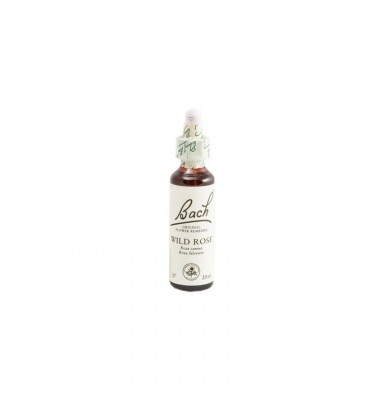 BACH 37 WILD ROSE 20 ML