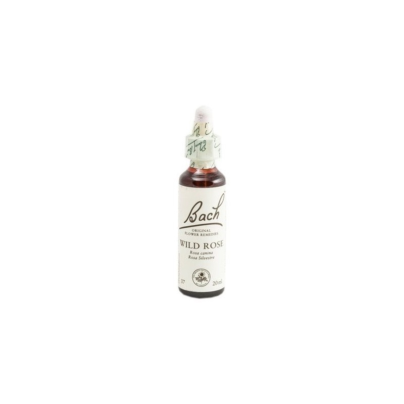 BACH 37 WILD ROSE 20 ML