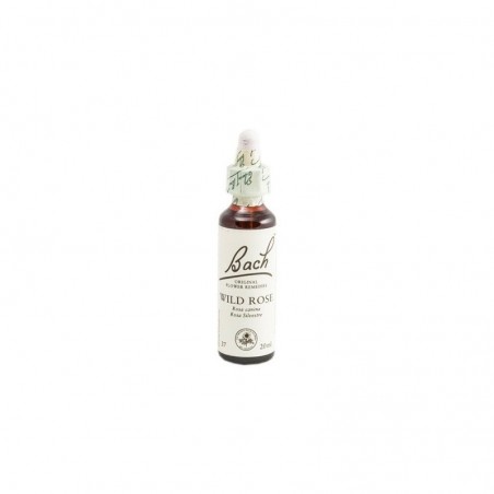  BACH 37 WILD ROSE 20 ML 