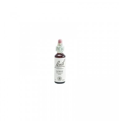 BACH 13 GORSE 20 ML