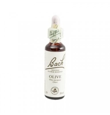 BACH 23 OLIVE 20 ML