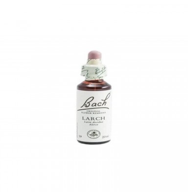 BACH 19 LARCH 20 ML