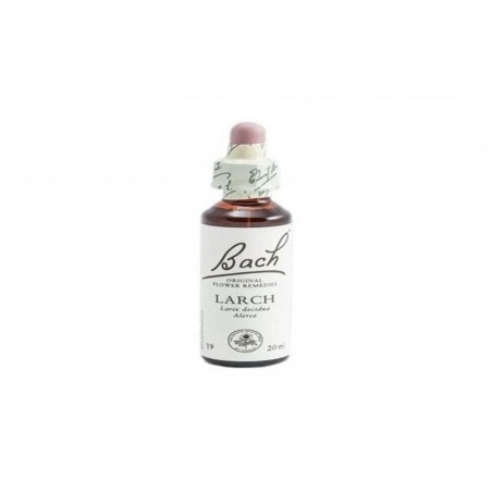  BACH 19 LARCH 20 ML 