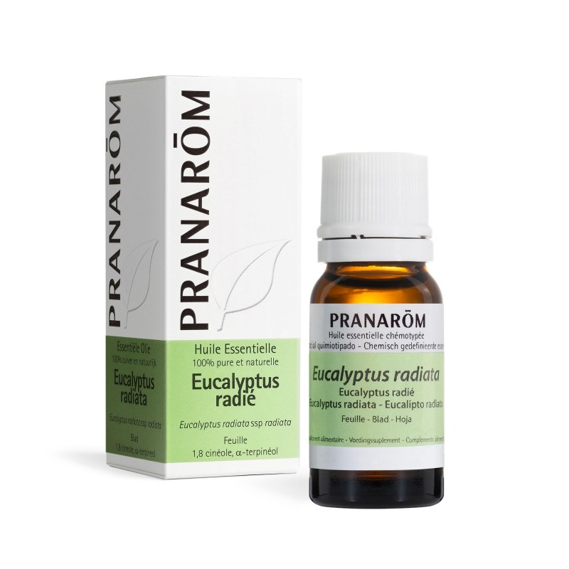 PRANAROM ACEITE ESENCIAL EUCALIPTO RADIATA 10 ML PRANAROM ACEITE ESENCIAL EUCALIPTO RADIATA 10 ML