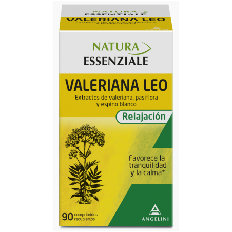  VALERIANA LEO ANGELINI 90 COMP 