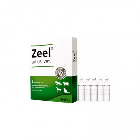  ZEEL HEEL 5 AMP 