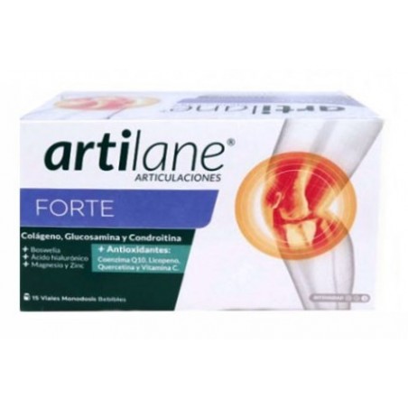  ARTILANE FORTE 15 VIALES MONODOSIS 30 ML 