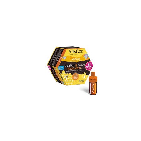  VITAFLOR MEGA VITAL JALEA REAL 20 VIALES 
