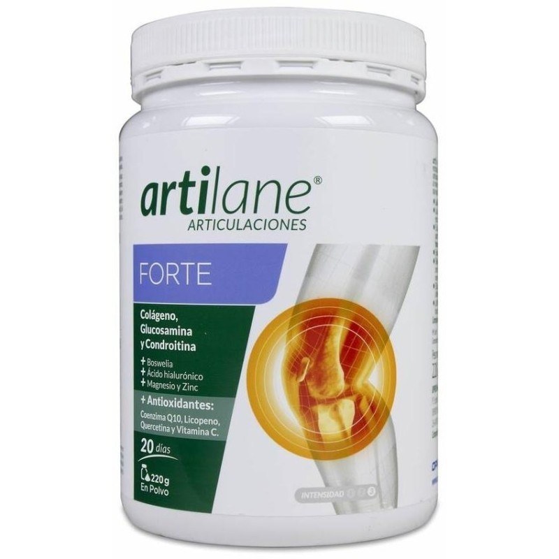 ARTILANE FORTE PACK POLVO ORAL 300 G