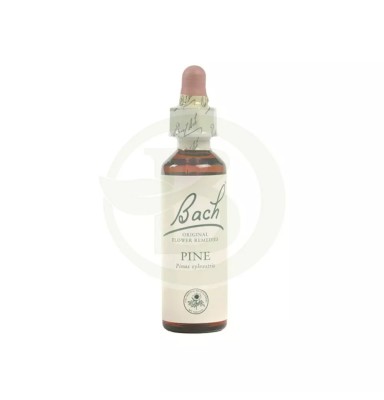FLORES DE BACH PINE (PINO SILVESTRE) 20ML