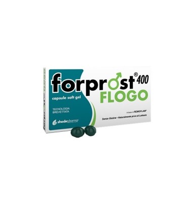 FORPROST 400 FLOGO 15 CAPSULAS