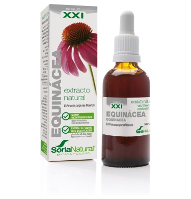 EQUINACEA EXTRACTO NATURAL SIGLO XXI 1 ENVASE 50 ML
