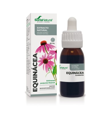 EQUINACEA EXTRACTO NATURAL SIGLO XXI 1 ENVASE 50 ML