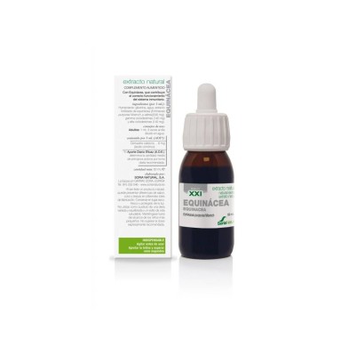 EQUINACEA EXTRACTO NATURAL SIGLO XXI 1 ENVASE 50 ML